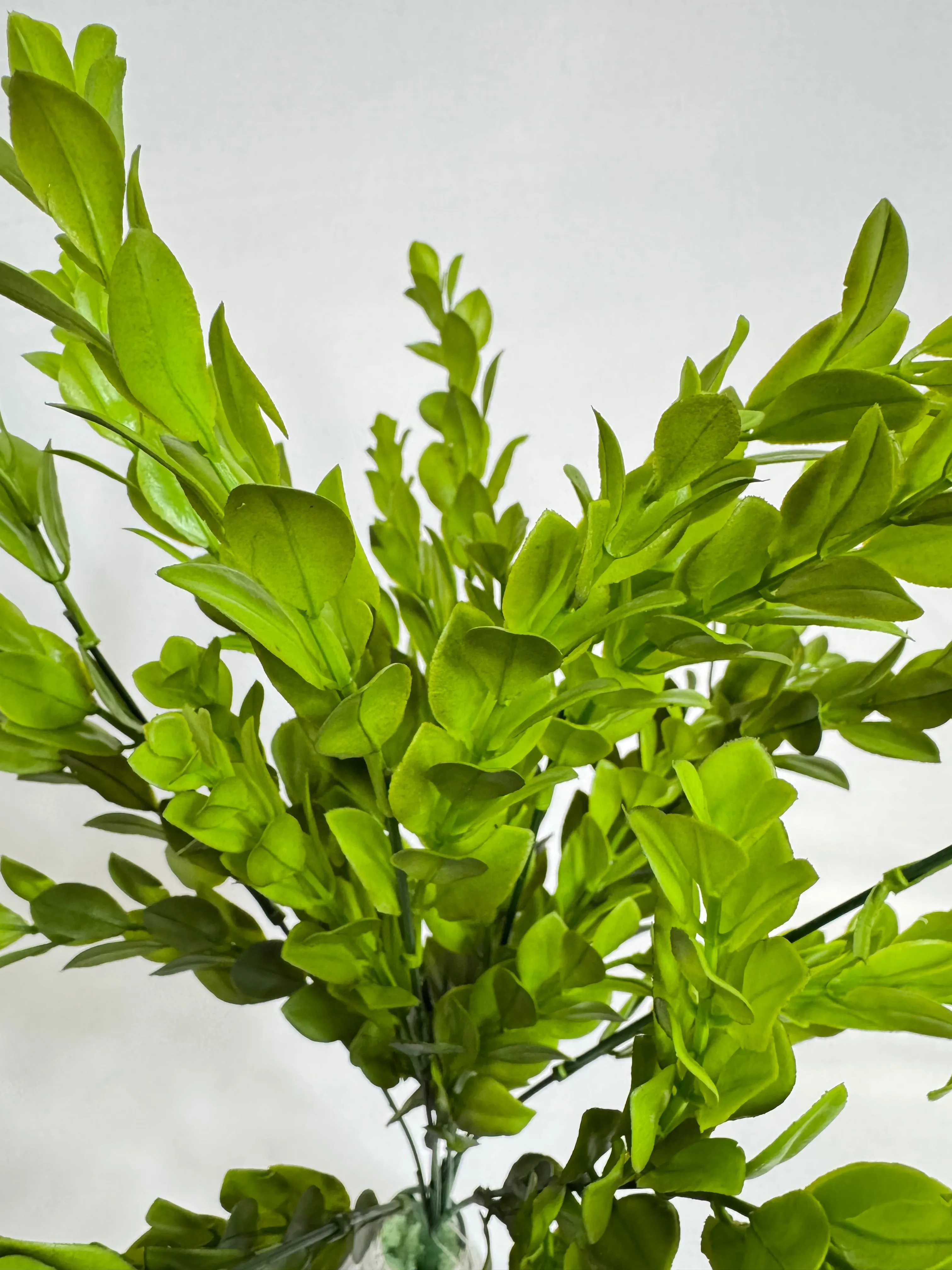 19" Plastic Boxwood Bush: Green - 43351