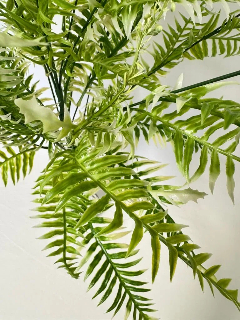 32" Large Plastic Mixed Fern Bush x 18: Cream - 57202