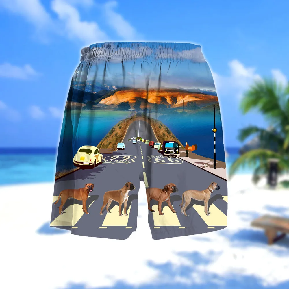 Boxer Cross the road- Men Hawaii Beach Shorts