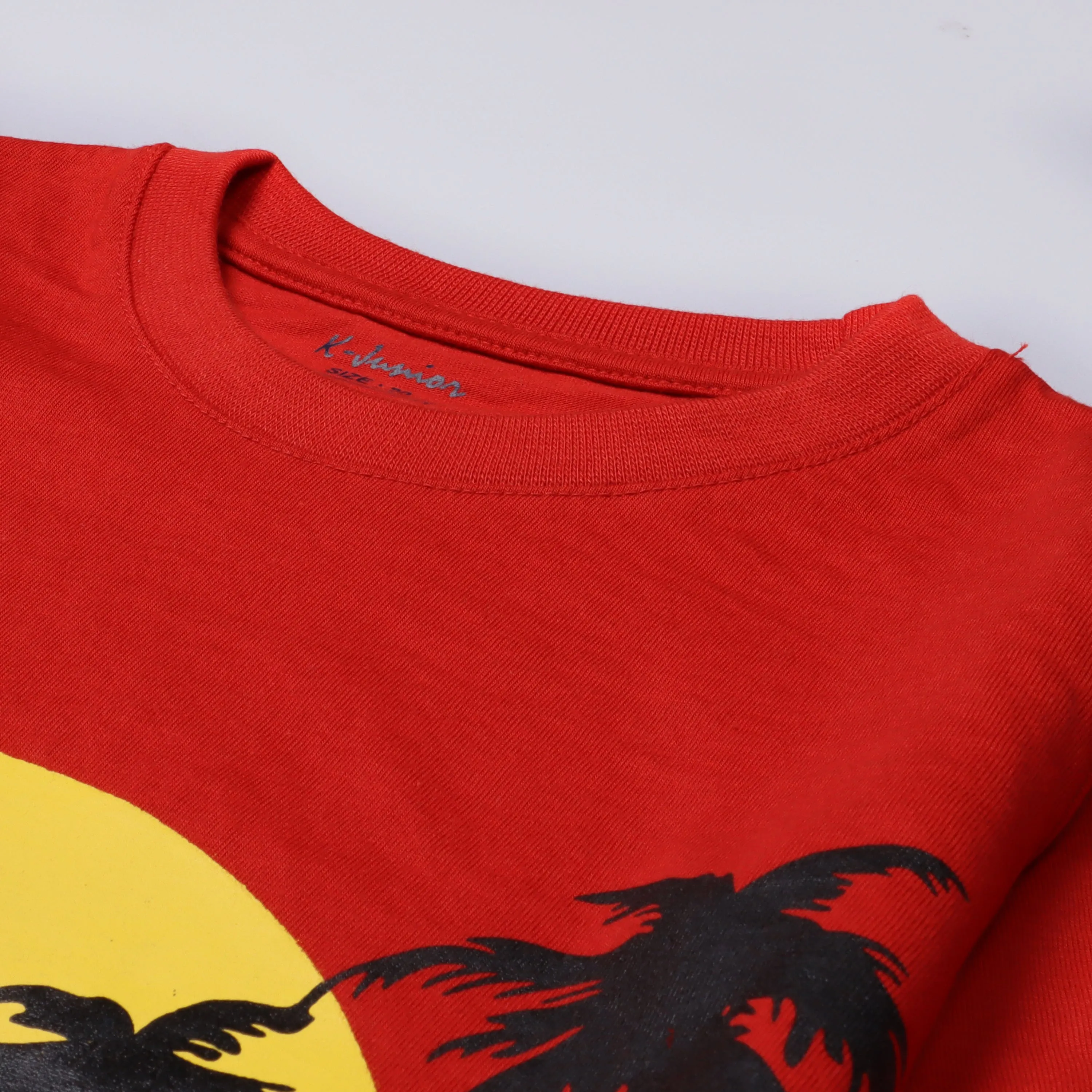Boys Half Sleeves-Printed T-Shirt (Winner)