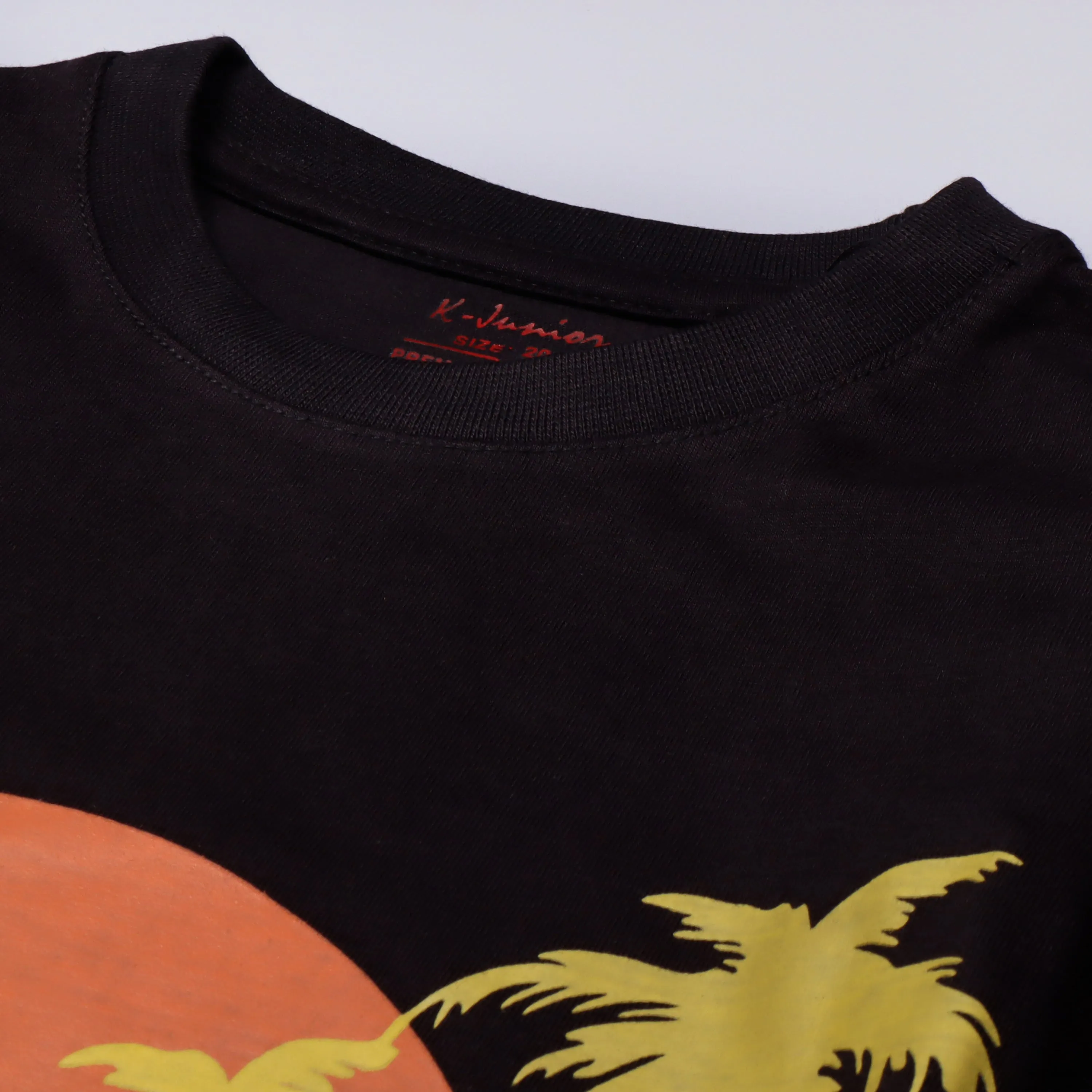 Boys Half Sleeves-Printed T-Shirt (Winner)