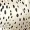 Cream And Black Spot Printed Flutter Sleeve Shirred Waist Top