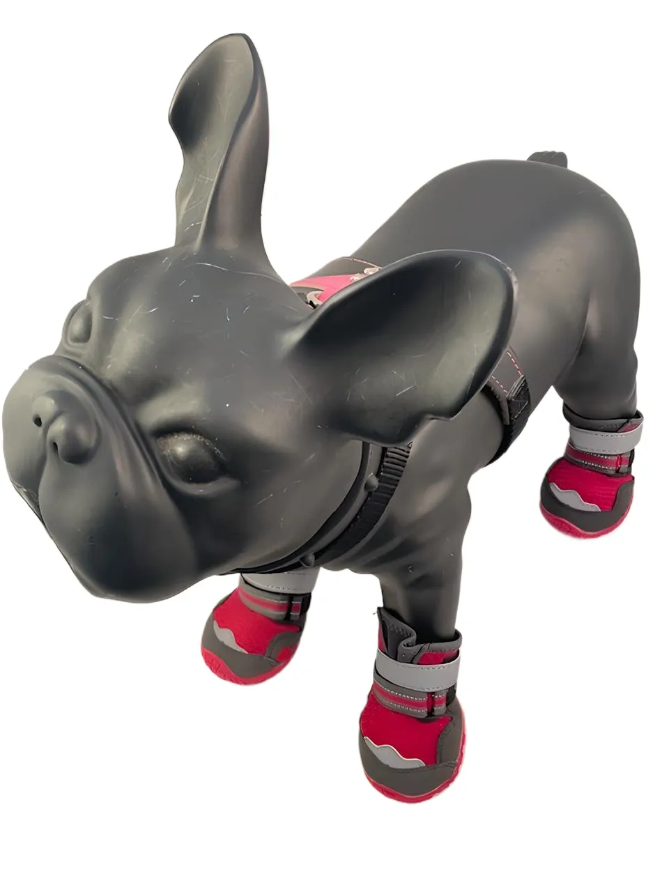 Doggy Boots - Rubber and Mesh boots good for all year round.