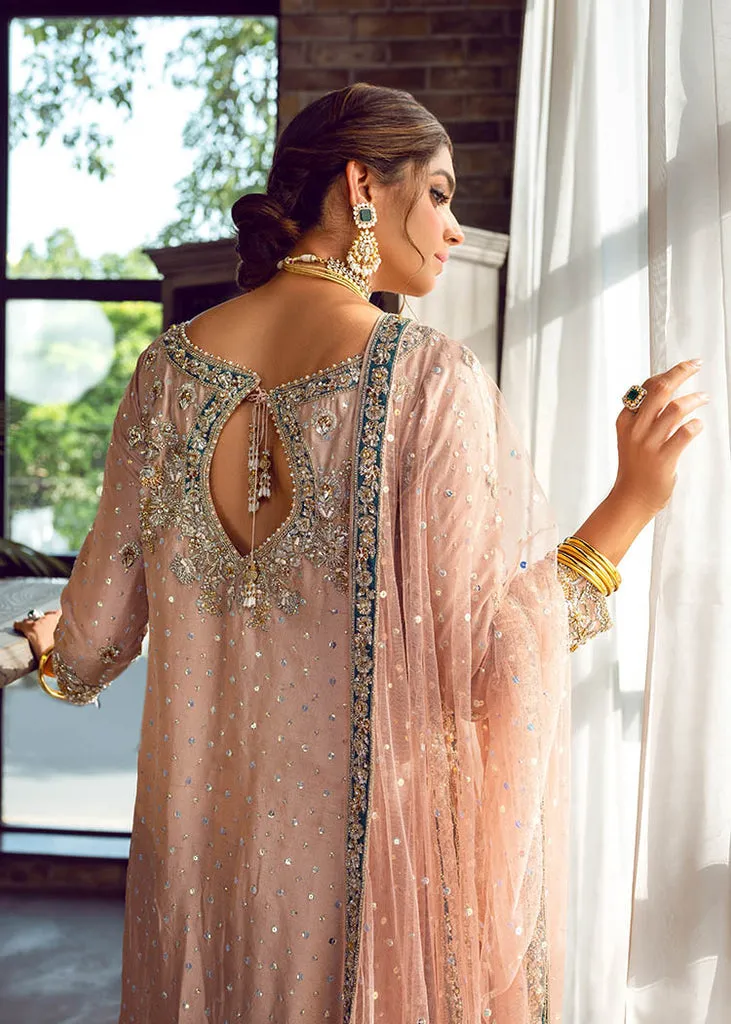 Embellished Raw Silk Suits Online for Pakistani Party Wear