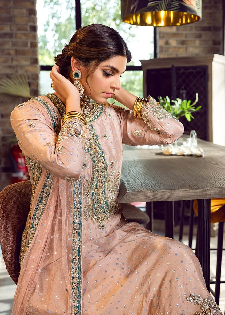 Embellished Raw Silk Suits Online for Pakistani Party Wear