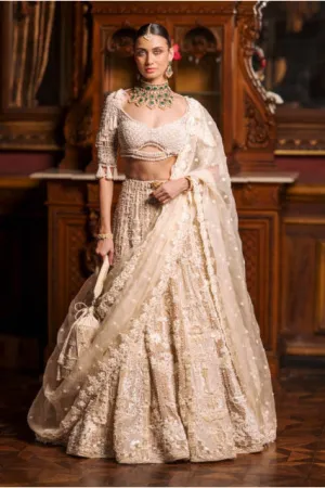 Evelyn bridal lehenga set