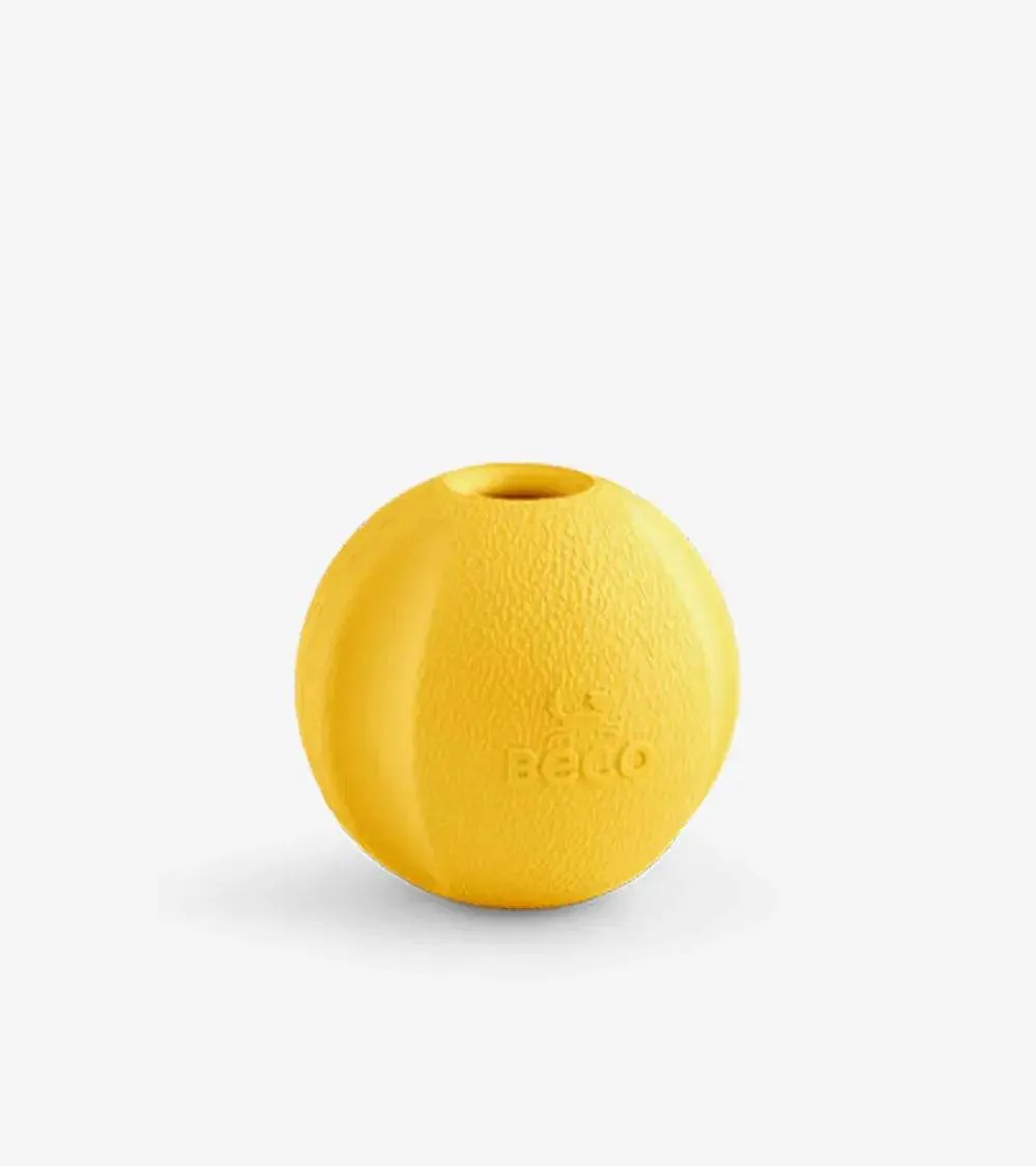 Fetch Ball