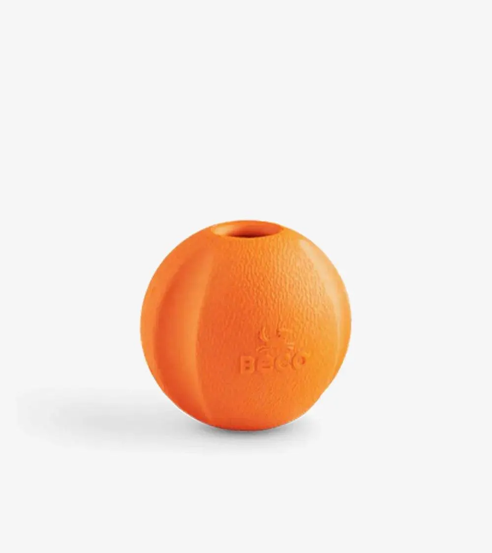 Fetch Ball
