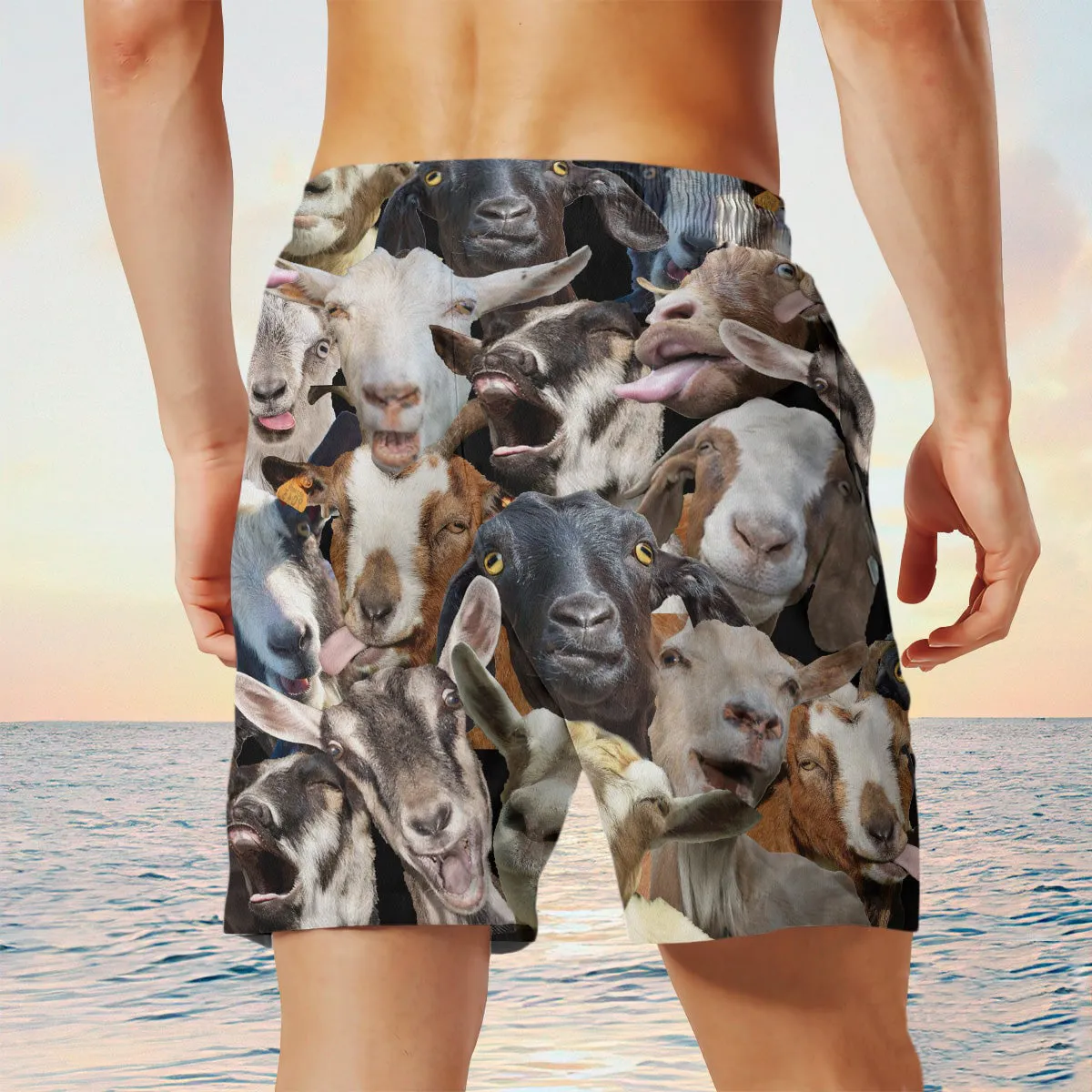 goat Herd Shorts