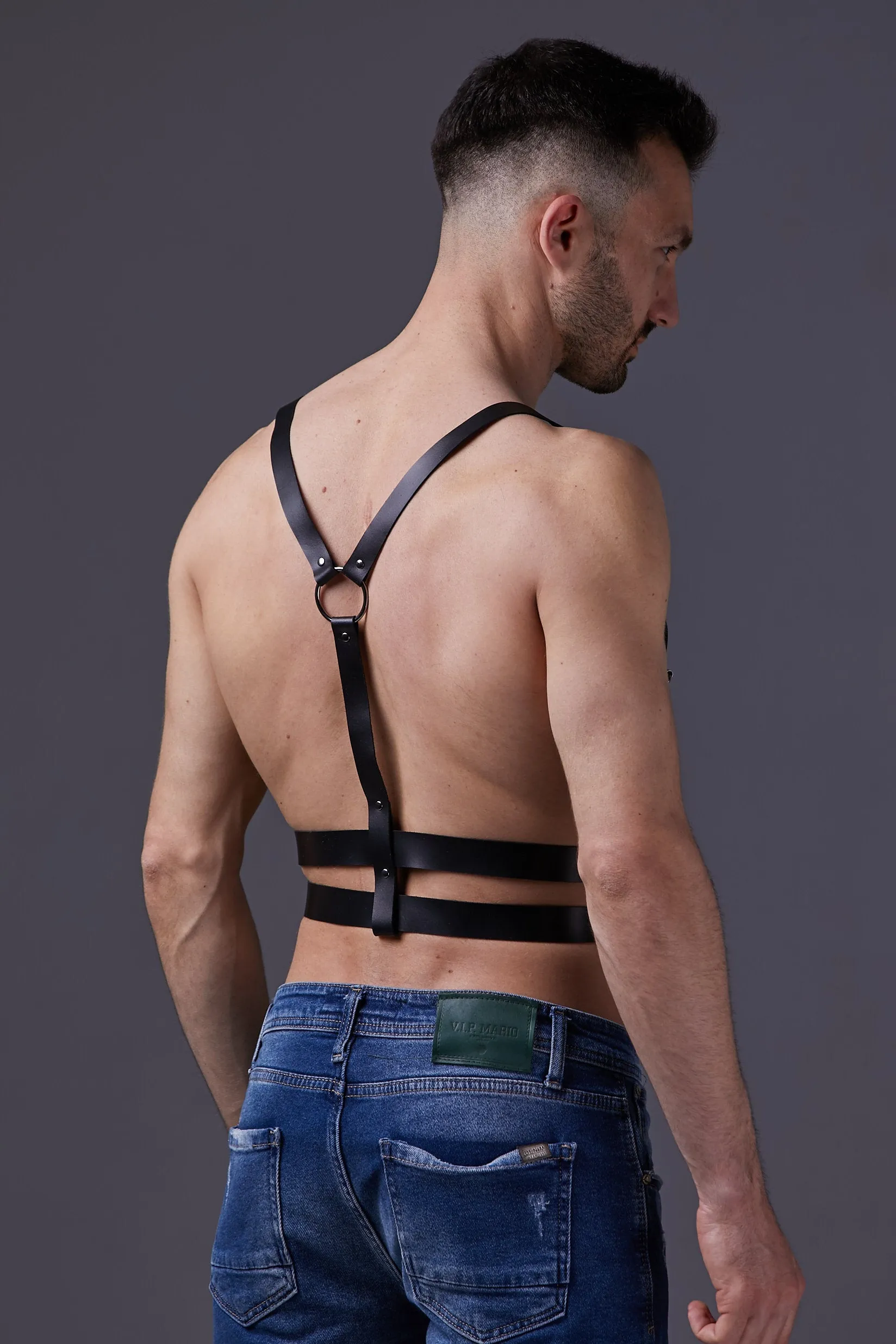 Harness "Aros"