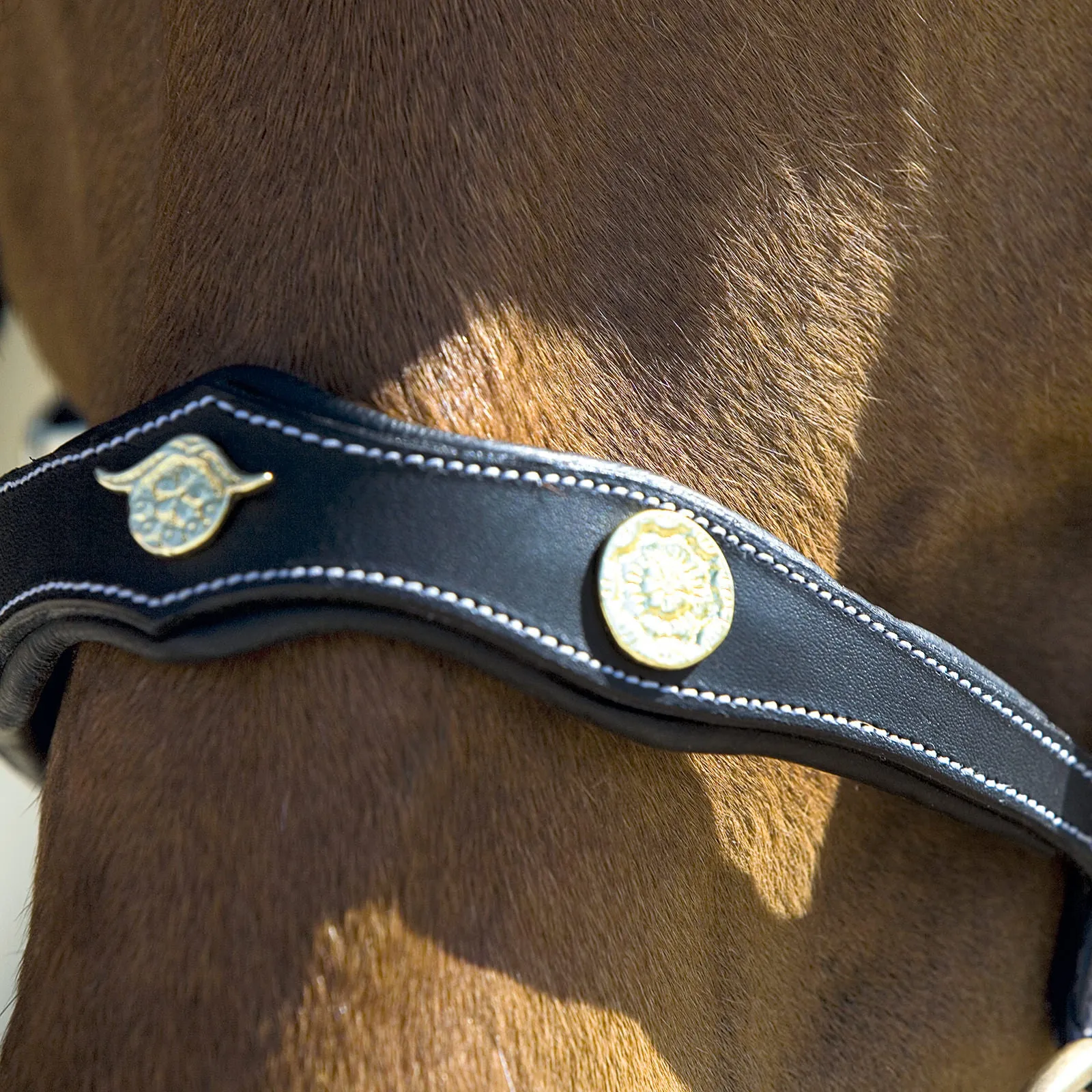 Kieffer Isabella Unique Baroque Snaffle Bridle