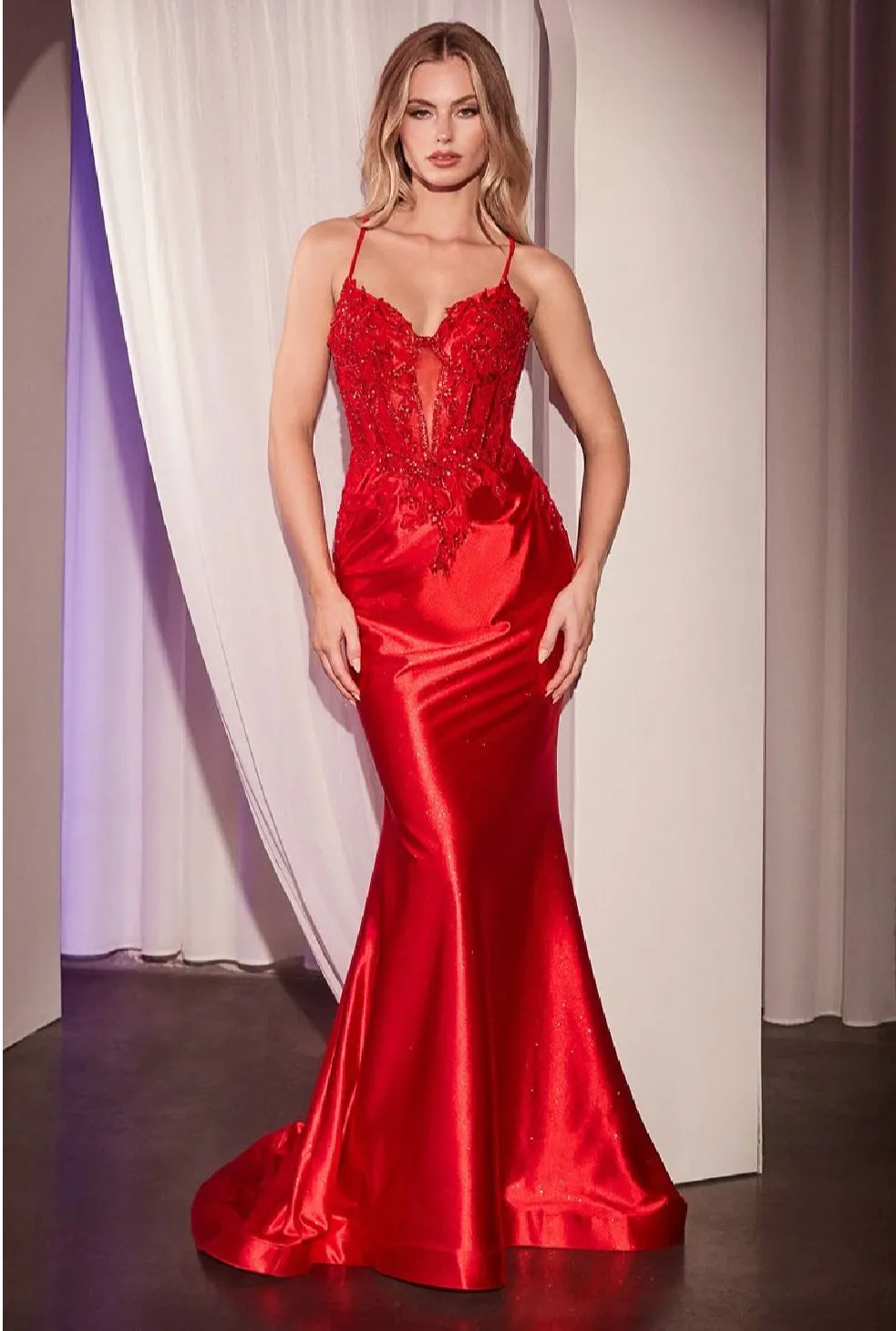 LaDivine by Cinderella Divine Evening Gown CC2401