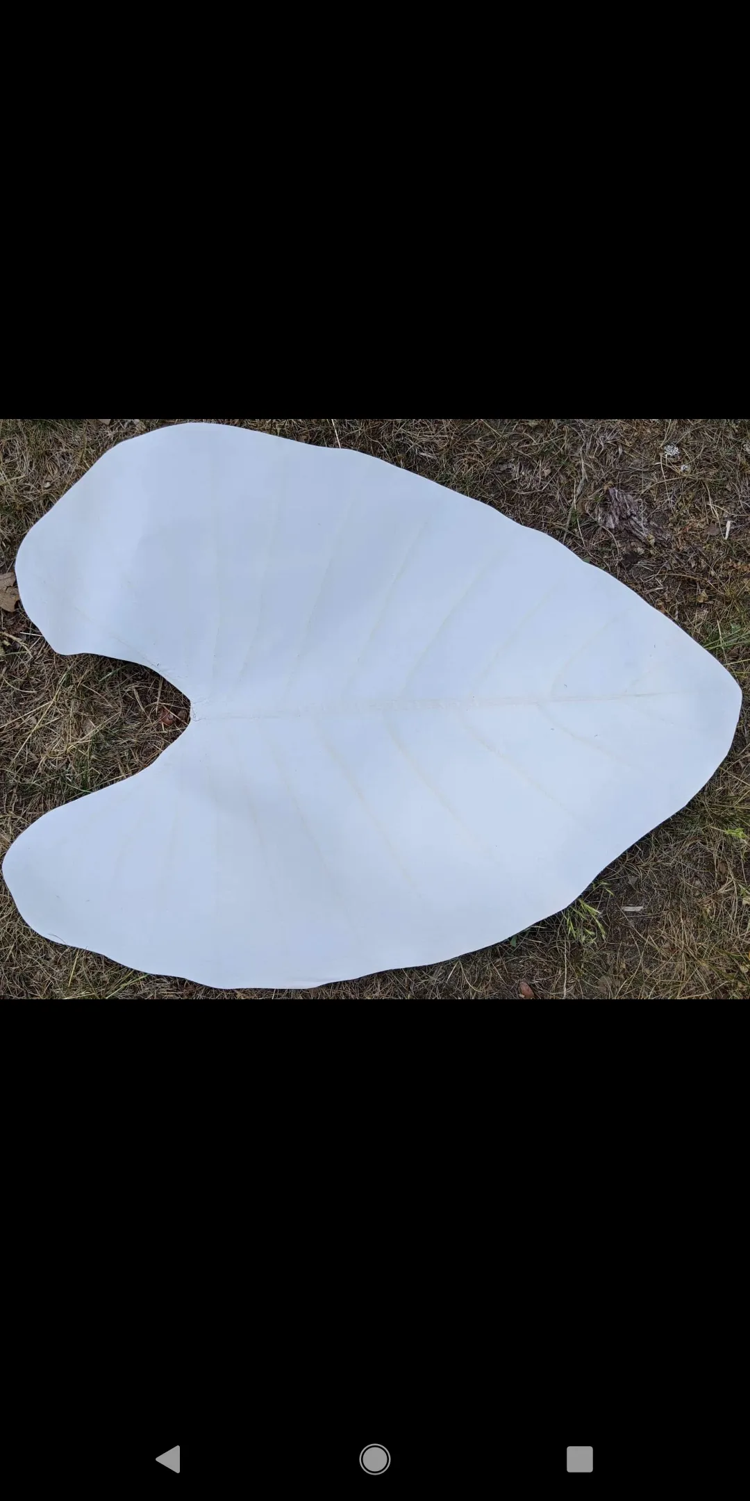 Leaf