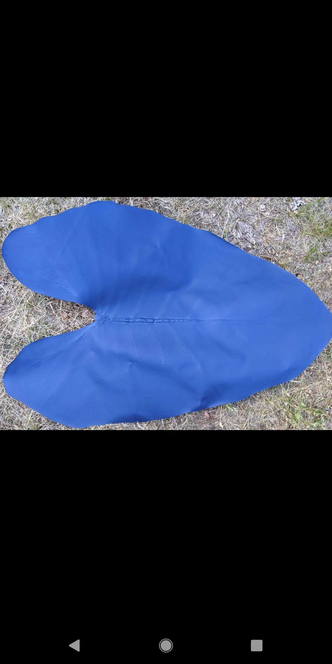 Leaf