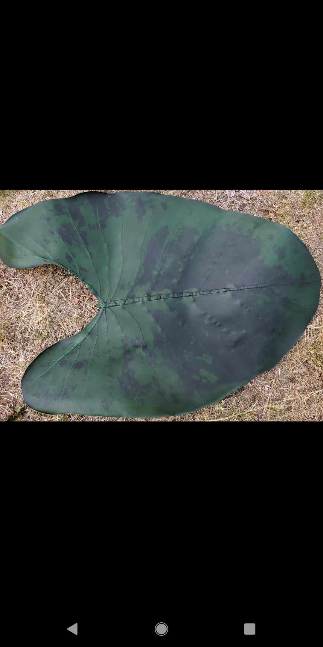 Leaf