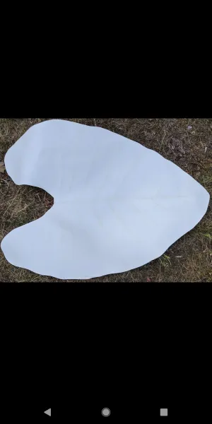 Leaf