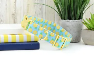 Pineapple Float Dog Collar - Blue