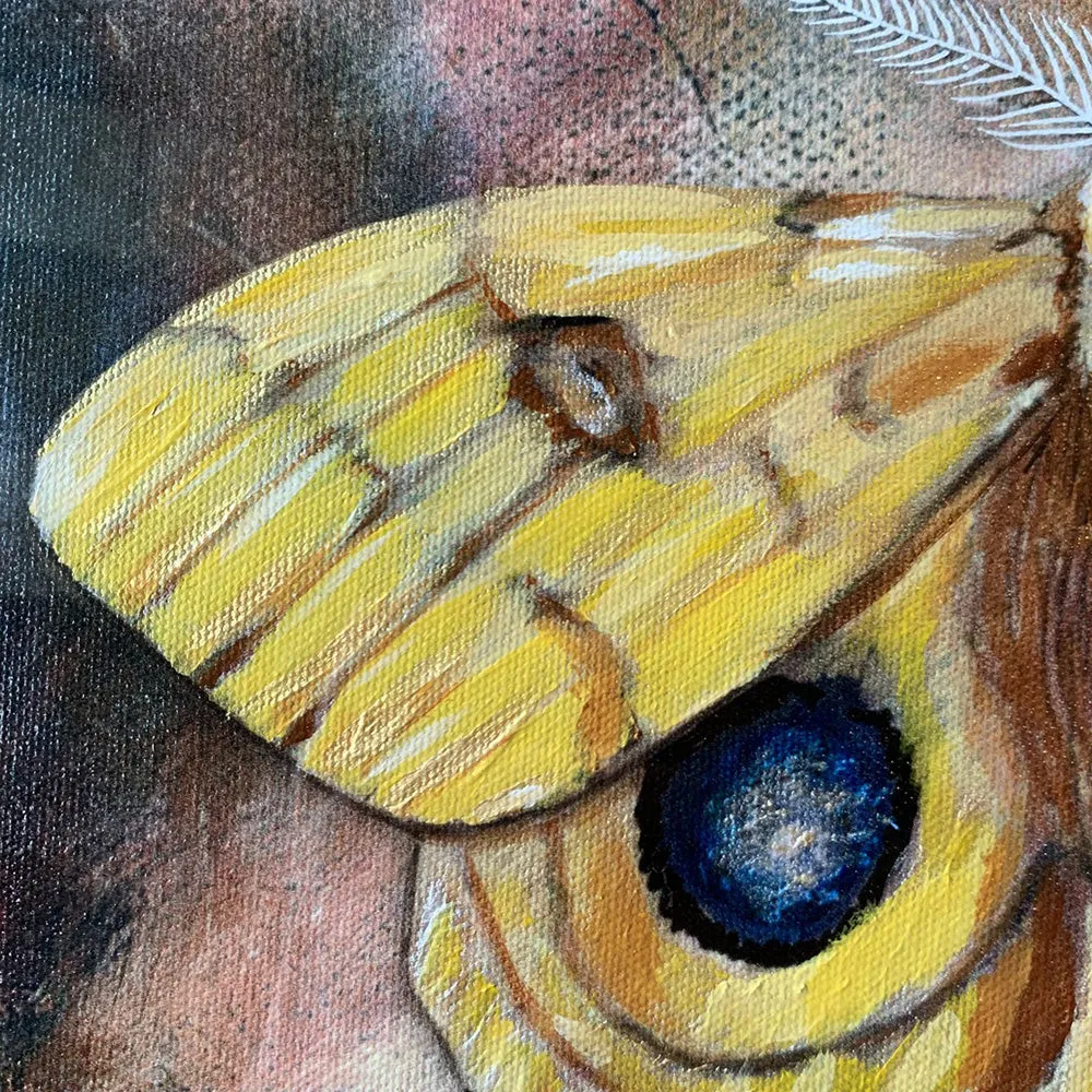 "Yellow Io Moth" Embellished Fine Art Print in Vintage Frame, 11x14