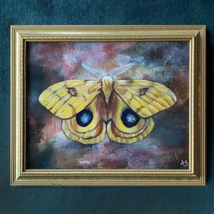 "Yellow Io Moth" Embellished Fine Art Print in Vintage Frame, 11x14