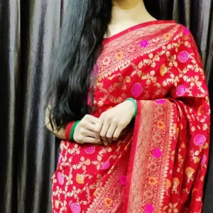 Red Banarasi Zari Silk Saree