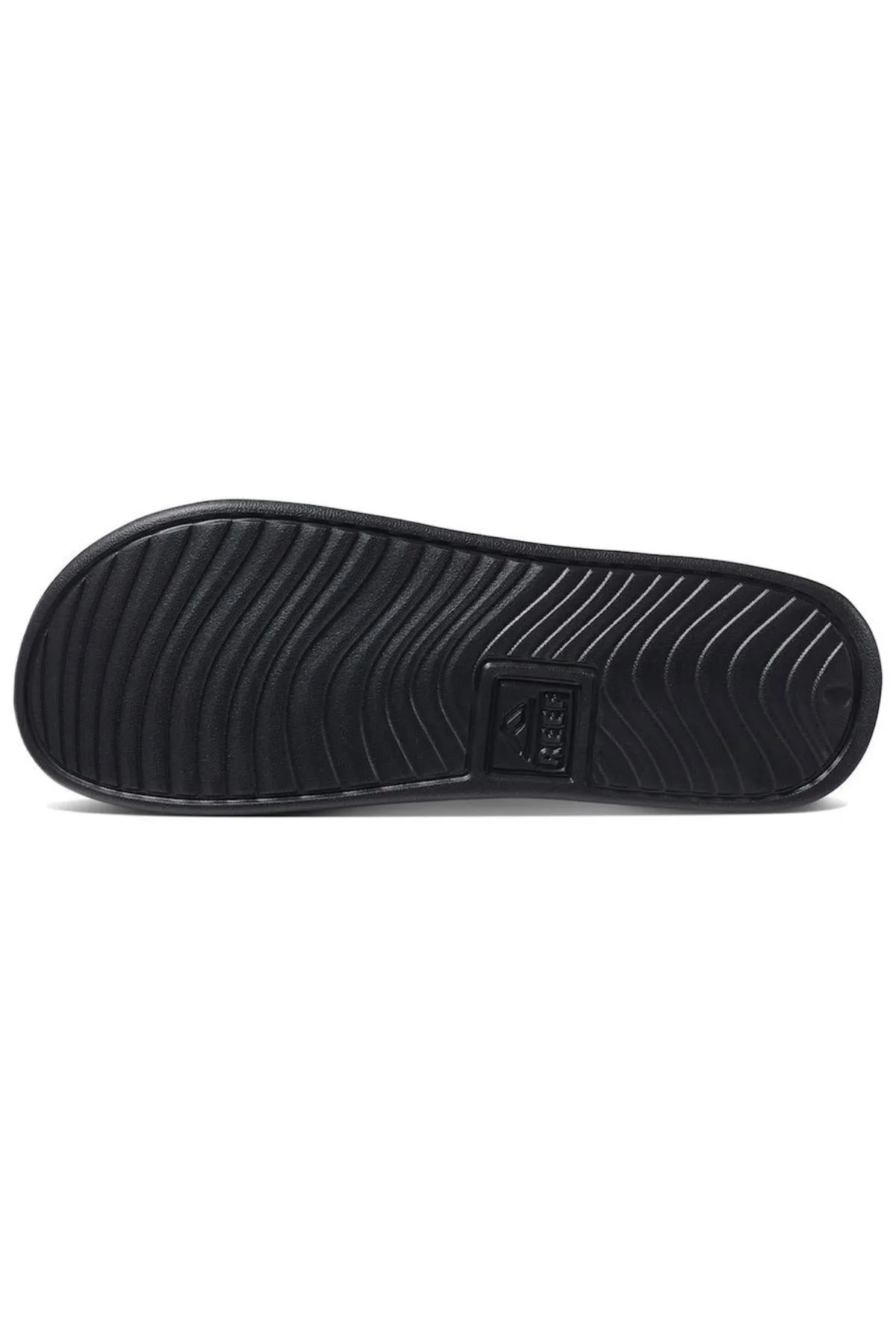REEF One Slide