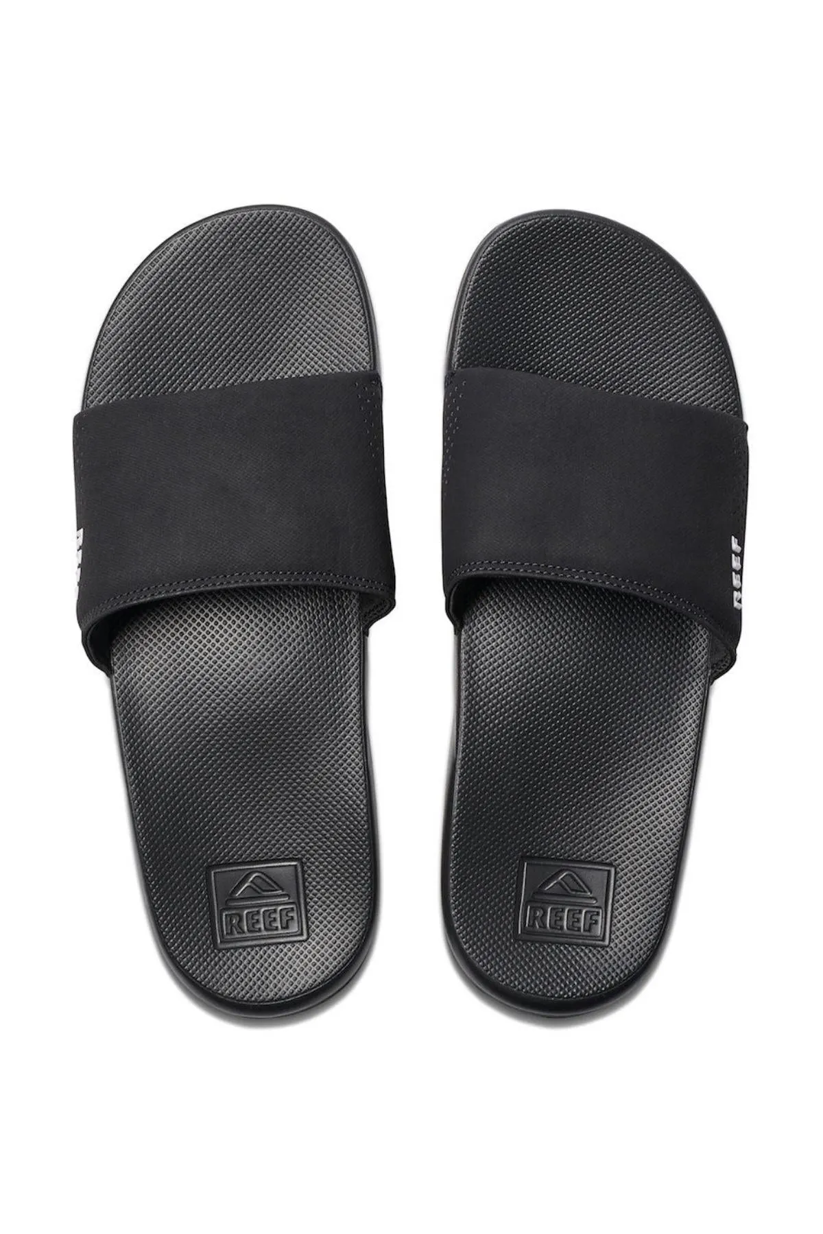 REEF One Slide
