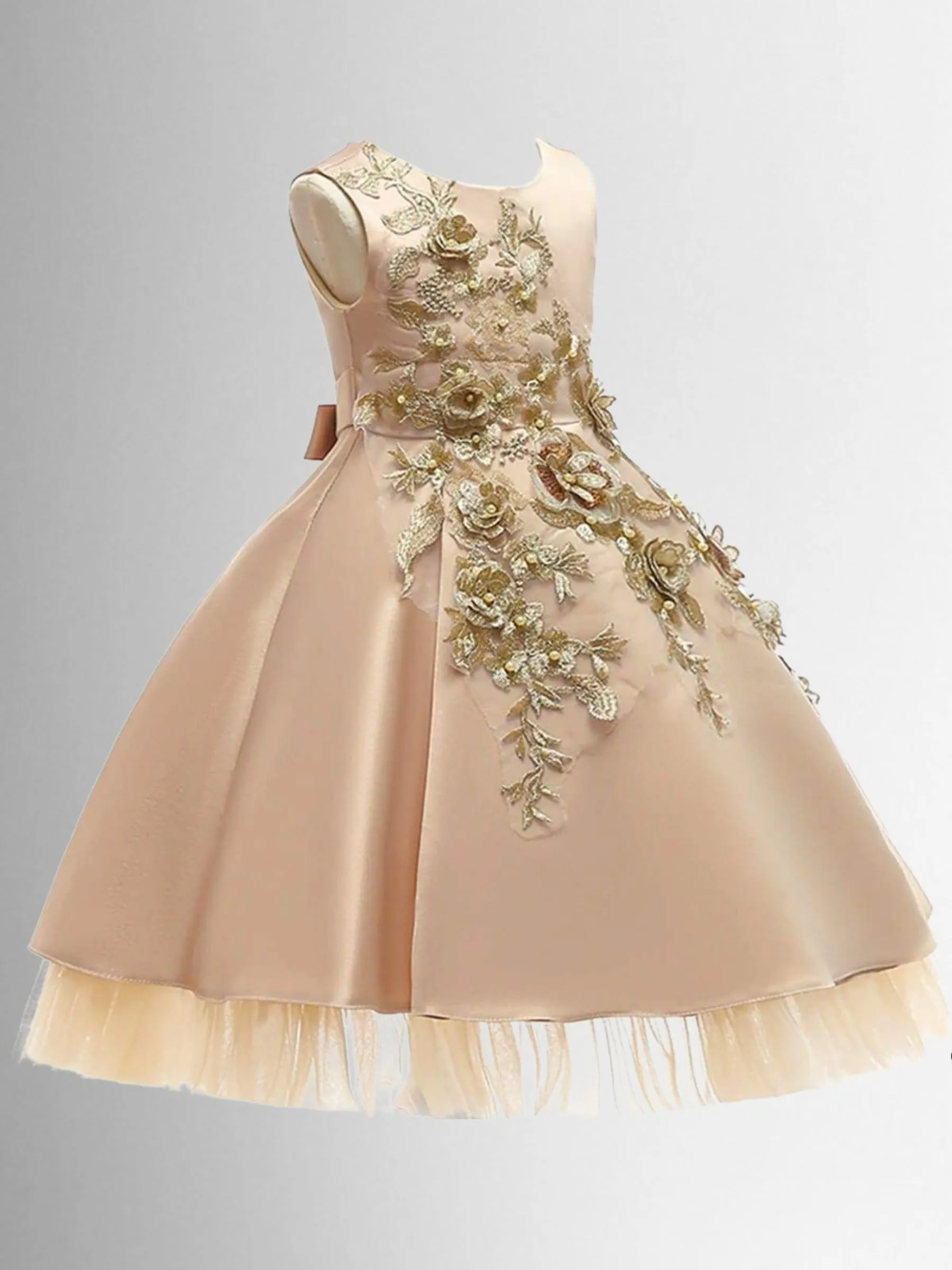 Regal Beauty Embellished Special Occasion Dress