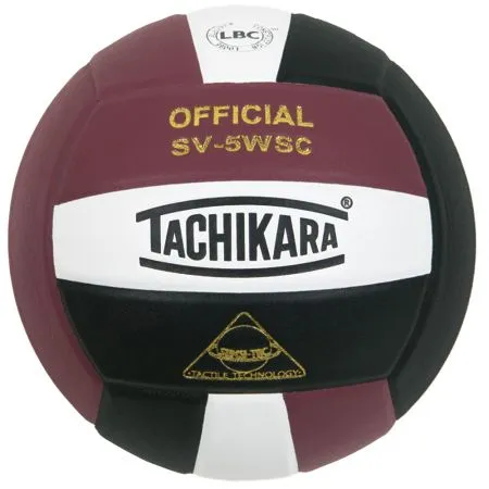 SV-5WSC Official Volleyball