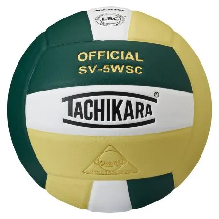 SV-5WSC Official Volleyball