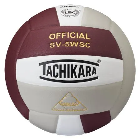 SV-5WSC Official Volleyball