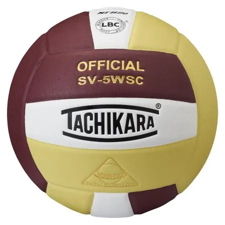 SV-5WSC Official Volleyball