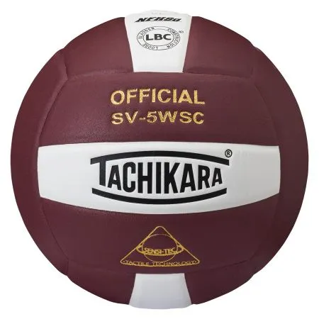 SV-5WSC Official Volleyball