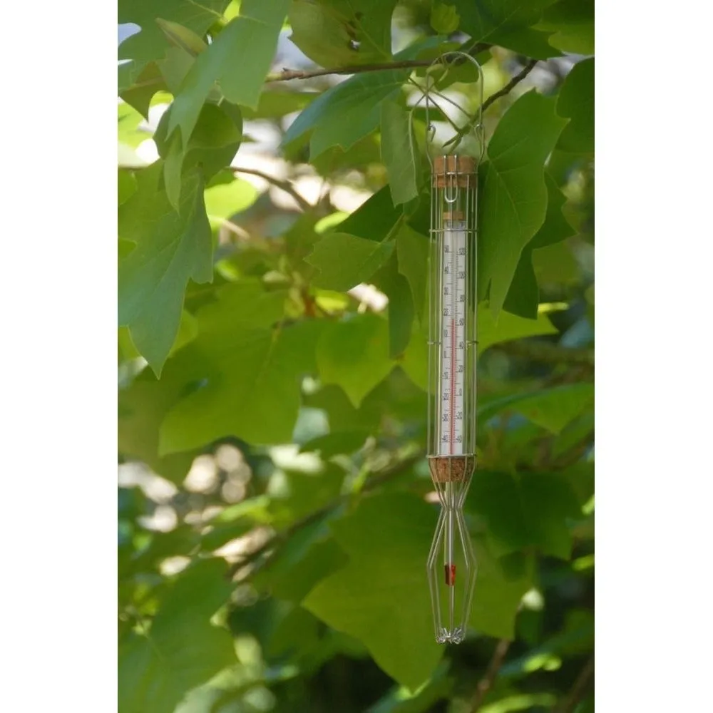 Thermometer in a Cage