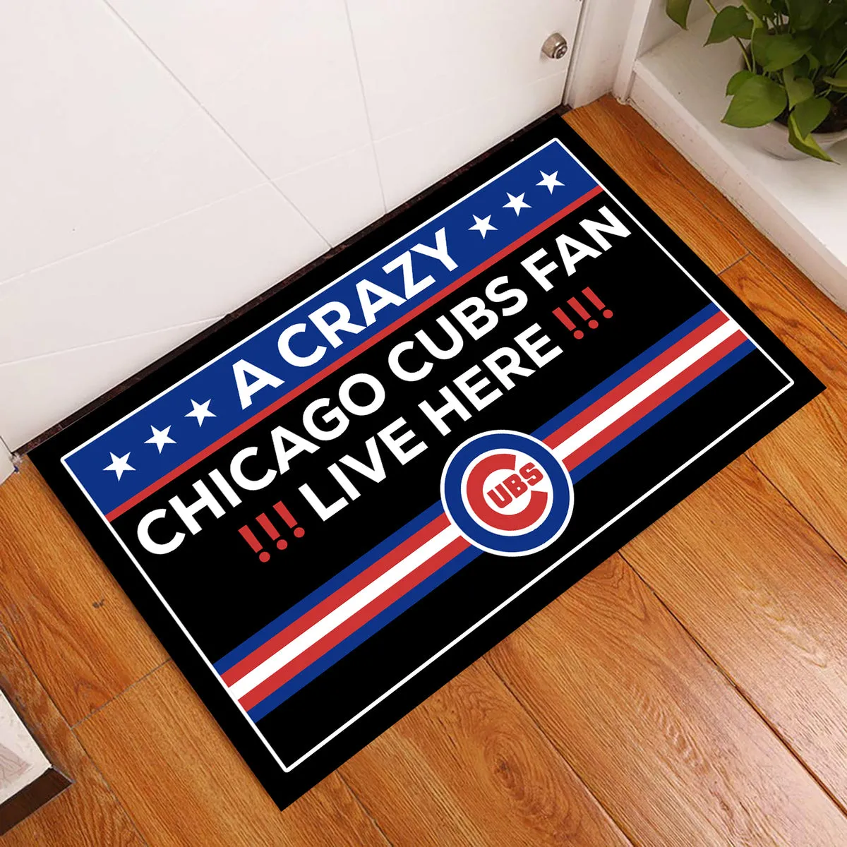 We are CCGC Fans - Anti Slip Indoor Doormat